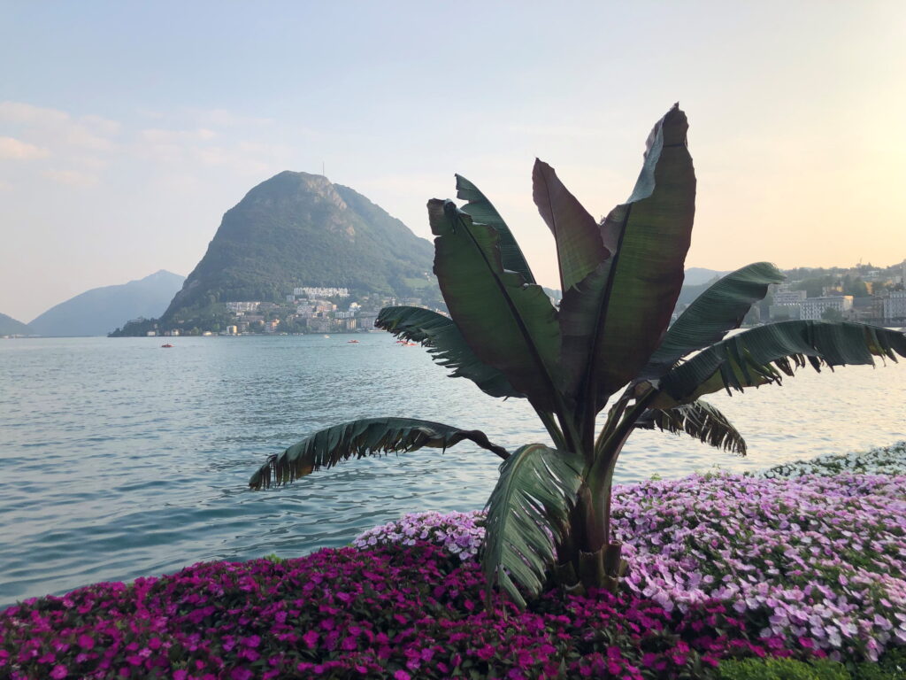 The Flag plant eine Residenz im schweizerischen Massagno bei Lugano