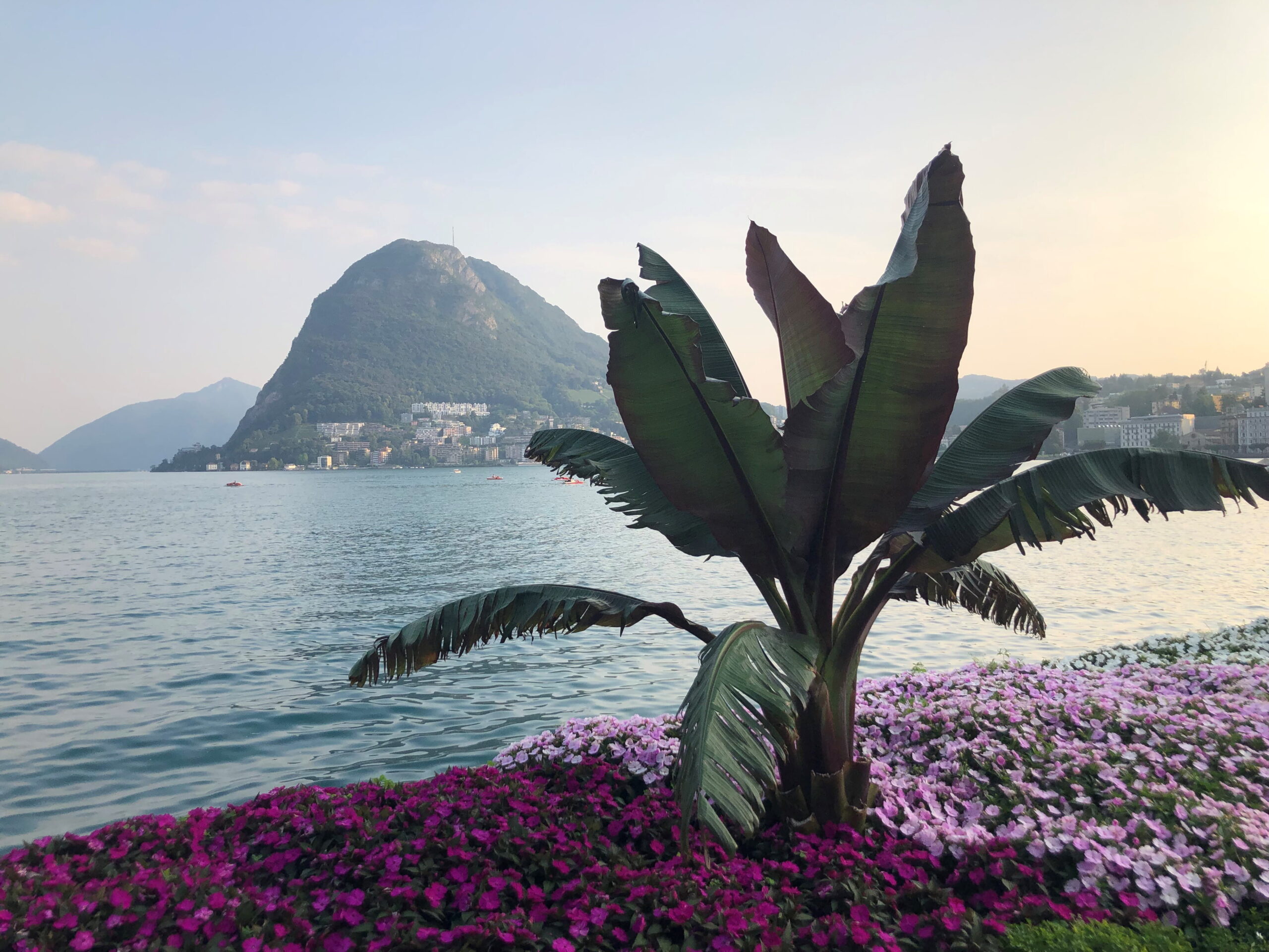The Flag plant eine Residenz im schweizerischen Massagno bei Lugano